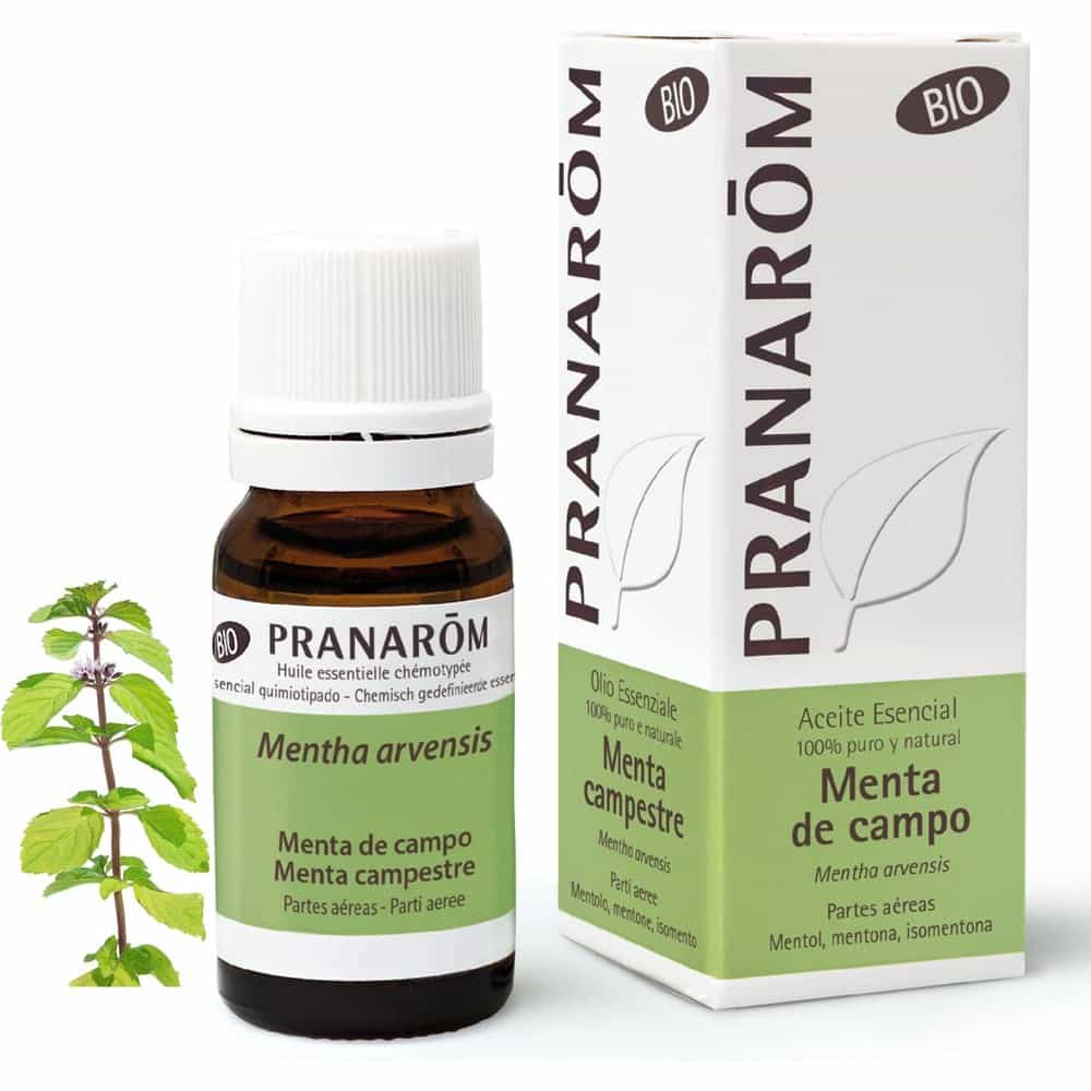 ACEITE ESENCIAL MENTA DE CAMPO PRANAROM