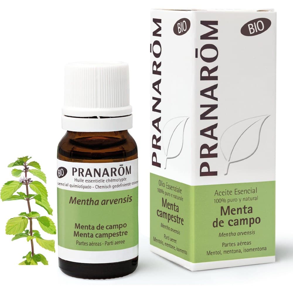 ACEITE ESENCIAL MENTA DE CAMPO PRANAROM — imagen 1